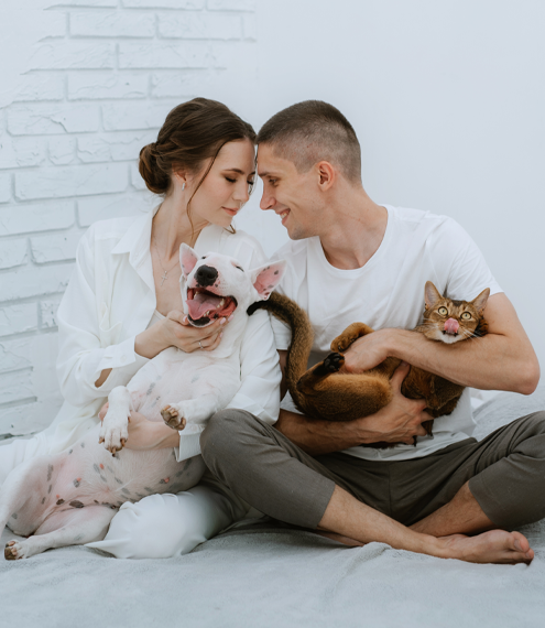 ¿Los perros y los gatos pueden vivir juntos?